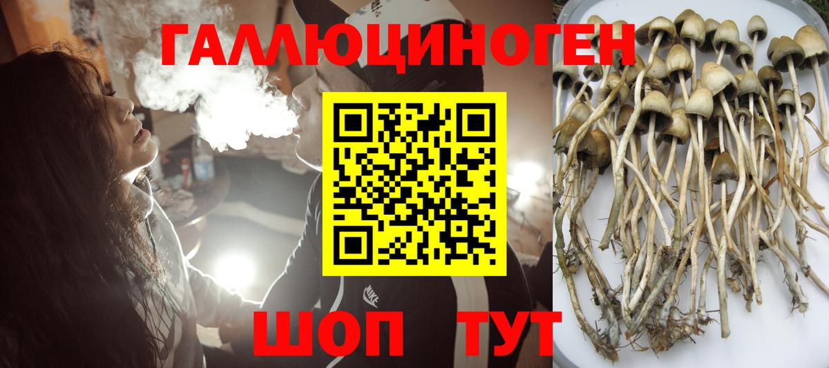 Псилоцибиновые грибы мицелий Донецк